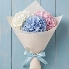 Букет цветов из:  Гортензия в Алнаши
