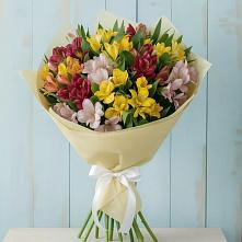 Букет цветов из:  Альстромерии #REPLACE_PRED# Алнаши