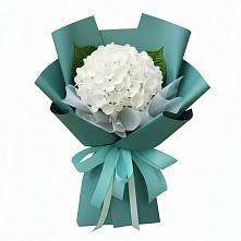 Букет цветов из:  Гортензия #REPLACE_PRED# Алнаши